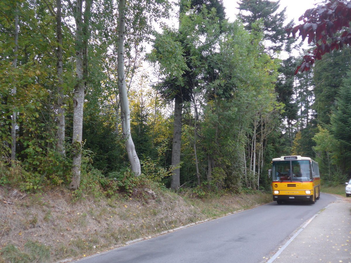 (198'098) - Kolb, Grasswil - Nr. 3/BE 93'915 - Saurer/R&J (ex Schmocker, Stechelberg Nr. 3; ex Nr. 1; ex Gertsch, Stechelberg Nr. 1) am 1. Oktober 2018 in Emmenmatt, Moosegg