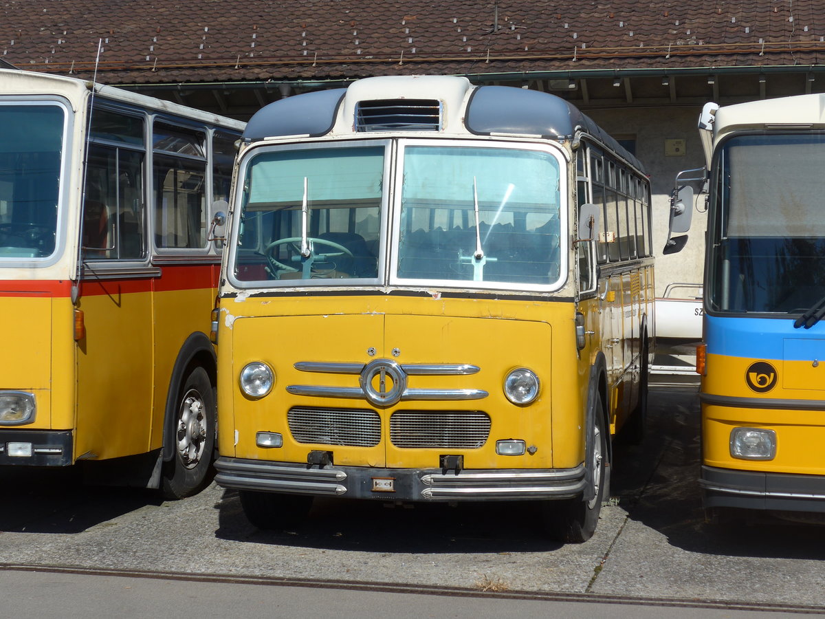 (198'248) - Oldie-Tours Zrisee, Wollerau - Nr. 21 - Saurer/Saurer (ex Marchetti, Airolo; ex P 24'119) am 13. Oktober 2018 in Uznach, Garage