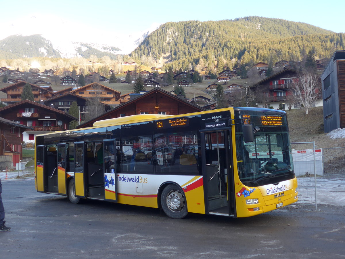 (200'499) - AVG Grindelwald - Nr. 14/BE 202'568 - MAN/Gppel am 1. Januar 2019 in Grindelwald, Mnnlichenbahn