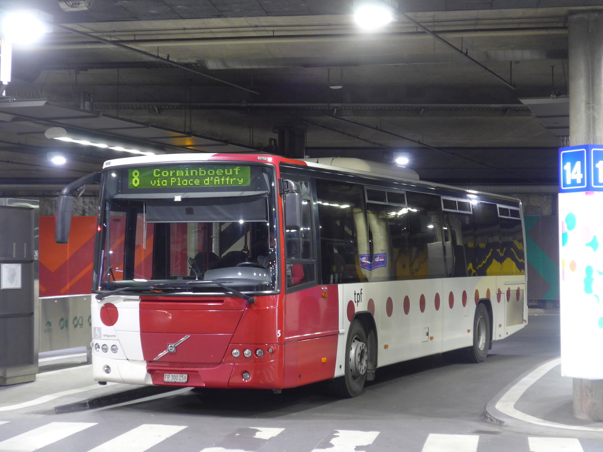 (203'060) - TPF Fribourg - Nr. 5/FR 300'256 - Volvo am 24. Mrz 2019 in Fribourg, Busbahnhof