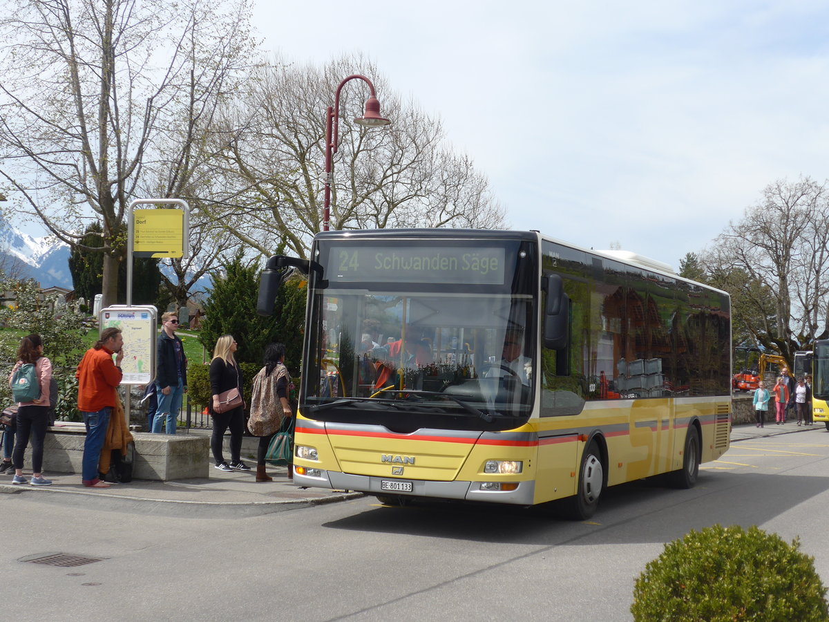 (203'863) - STI Thun - Nr. 133/BE 801'133 - MAN/Gppel am 21. April 2019 in Sigriswil, Dorf