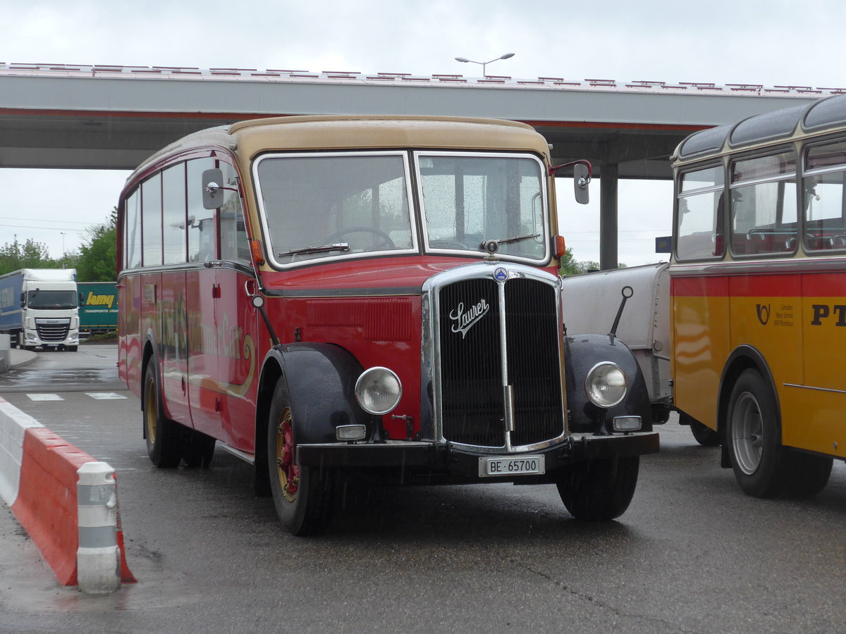 (203'925) - Aus der Schweiz: Dysli, Bern - Nr. 19/BE 65'700 - Saurer/Saurer (ex P 23'085; ex P 2137) am 26. April 2019 in Orschwiller, Raststtte