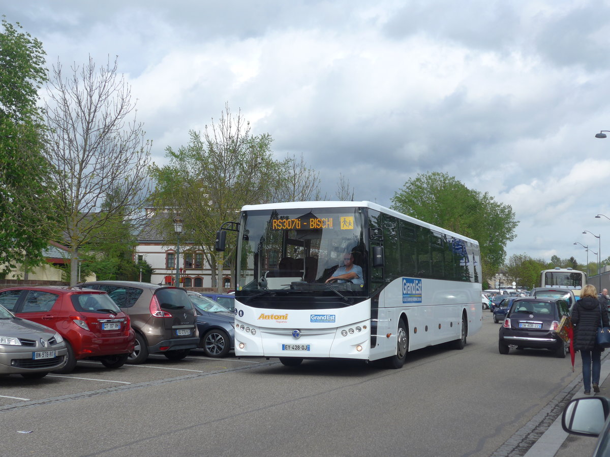 (204'050) - Antoni, Haguenau - EY 428 QJ - Temsa am 26. April 2019 in Haguenau, Parkplatz