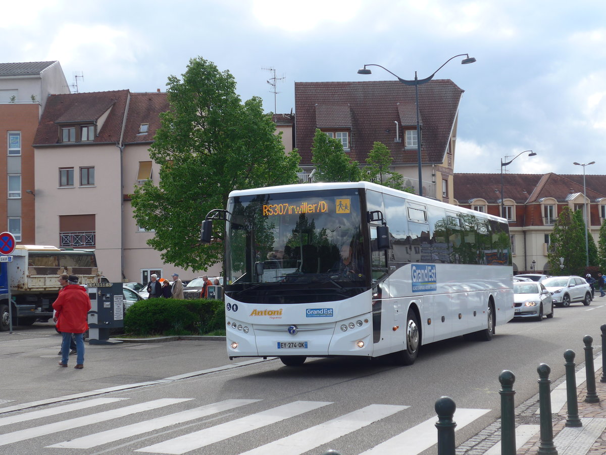 (204'056) - Antoni, Haguenau - EY 274 QK - Temsa am 26. April 2019 in Haguenau, Parkplatz