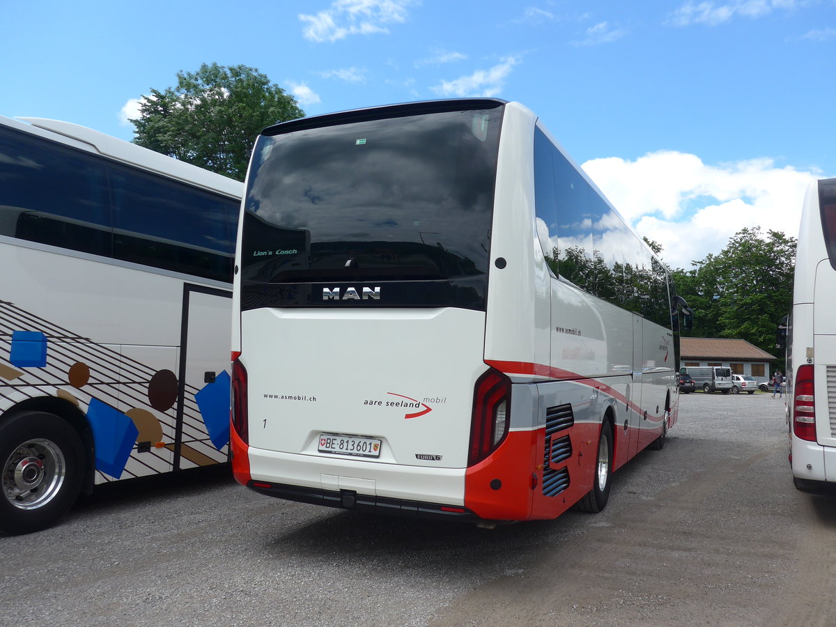 (206'435) - ASm Langenthal - Nr. 1/BE 813'601 - MAN am 16. Juni 2019 in Thun, Kleine Allmend