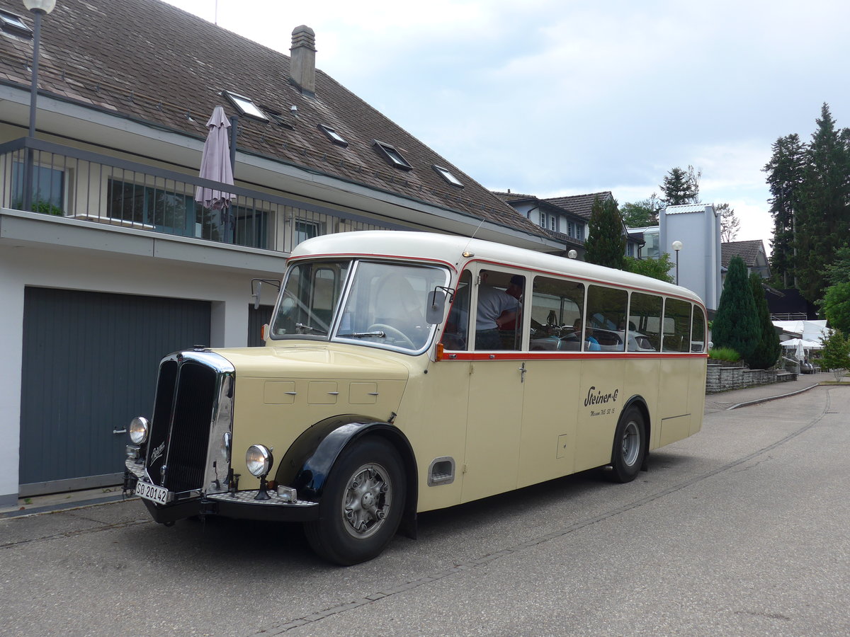 (207'449) - Steiner, Messen - SO 20'142 - Berna/Hess (ex Brtschi, Biberen) am 7. Juli 2019 in Emmenmatt, Moosegg