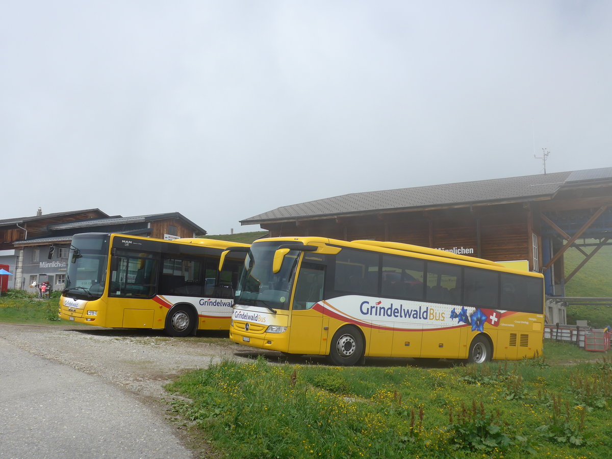 (207'704) - AVG Grindelwald - Nr. 30/BE 171'240 - Mercedes am 9. Juli 2019 auf dem Mnnlichen