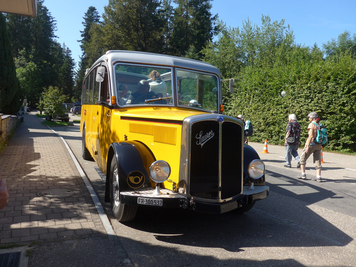 (208'409) - Schlapp, Cottens - FR 300'537 - Saurer/Saurer (ex SATEG, Lausanne; ex P 23'086; ex P 2138) am 4. August 2019 in Emmenmatt, Moosegg