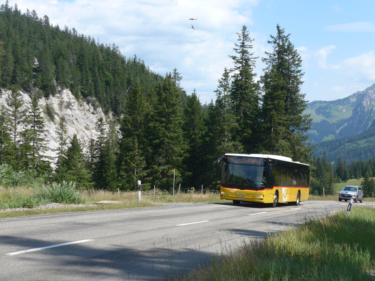 (208'533) - Steiner, Messen - SO 20'096 - MAN am 5. August 2019 in Les Diablerets, Col du Pillon