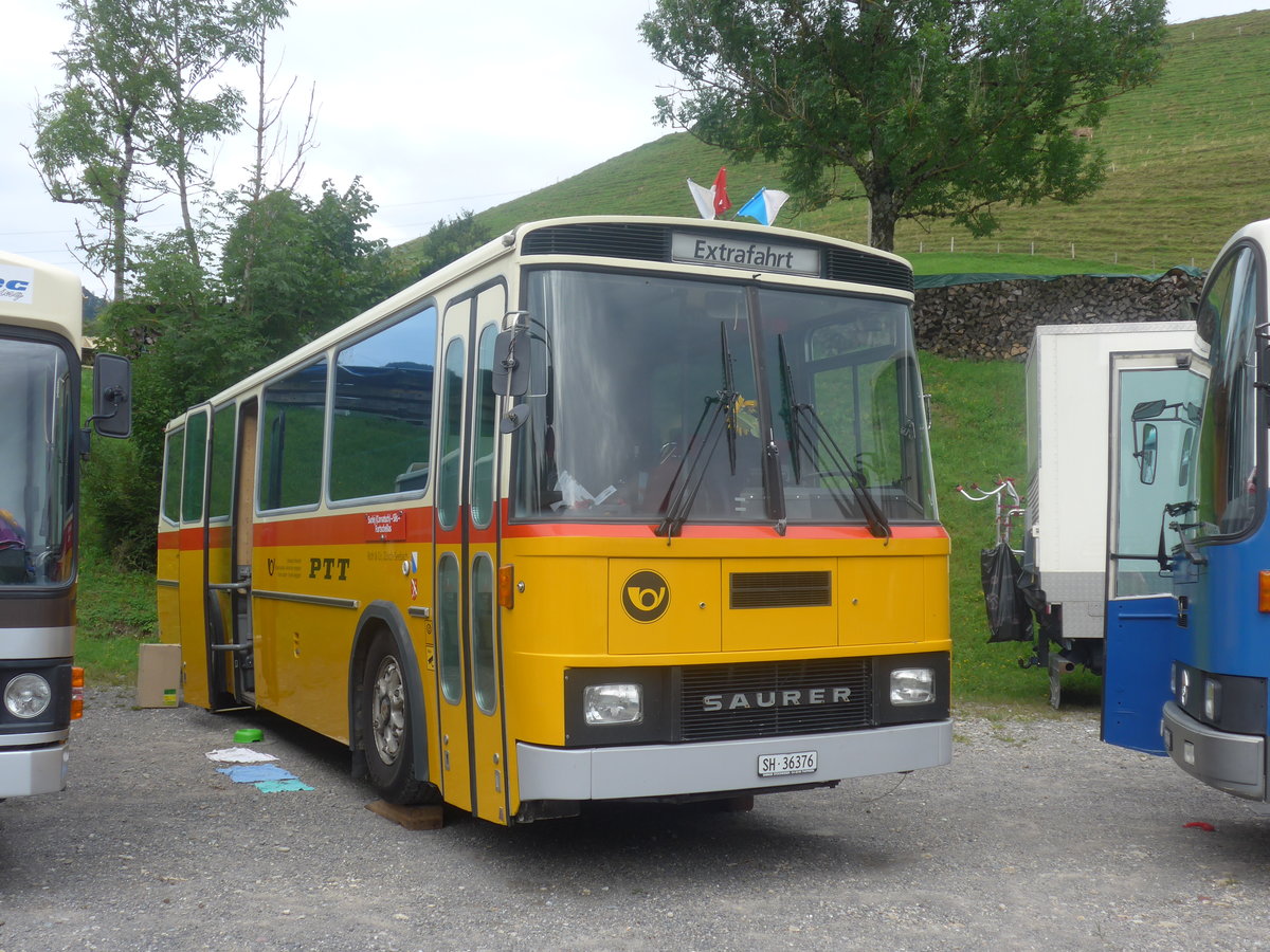 (208'804) - Roth, Zrich - SH 36'376 - Saurer/Tscher (ex Looser, Elm; ex Mattli, Wassen) am 17. August 2019 in Atzmnnig, Schutt