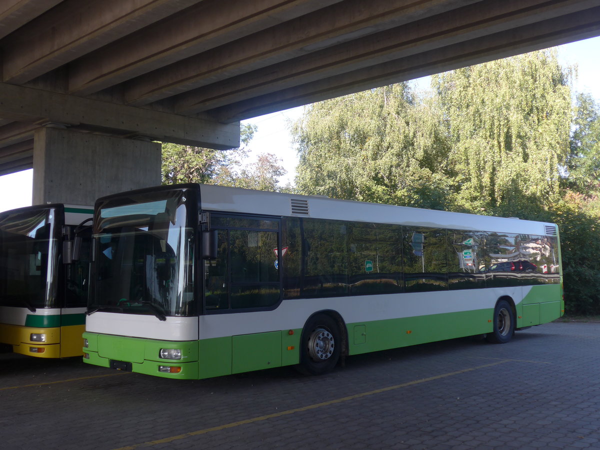 (209'671) - transN, La Chaux-de-Fonds - Nr. 204 - MAN (ex TN Neuchtel Nr. 204) am 15. September 2019 in Kerzers, Murtenstrasse