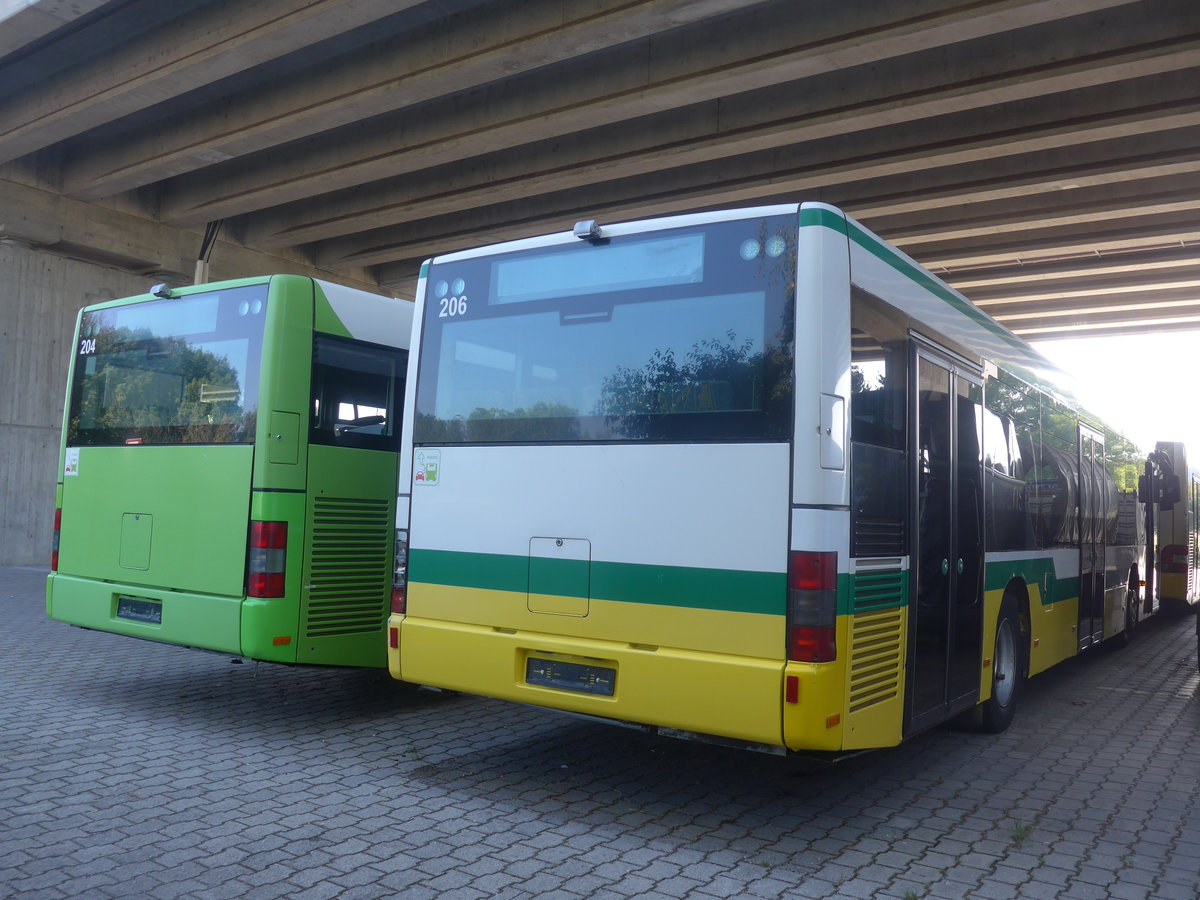 (209'674) - transN, La Chaux-de-Fonds - Nr. 206 - MAN (ex TN Neuchtel Nr. 206) am 15. September 2019 in Kerzers, Murtenstrasse