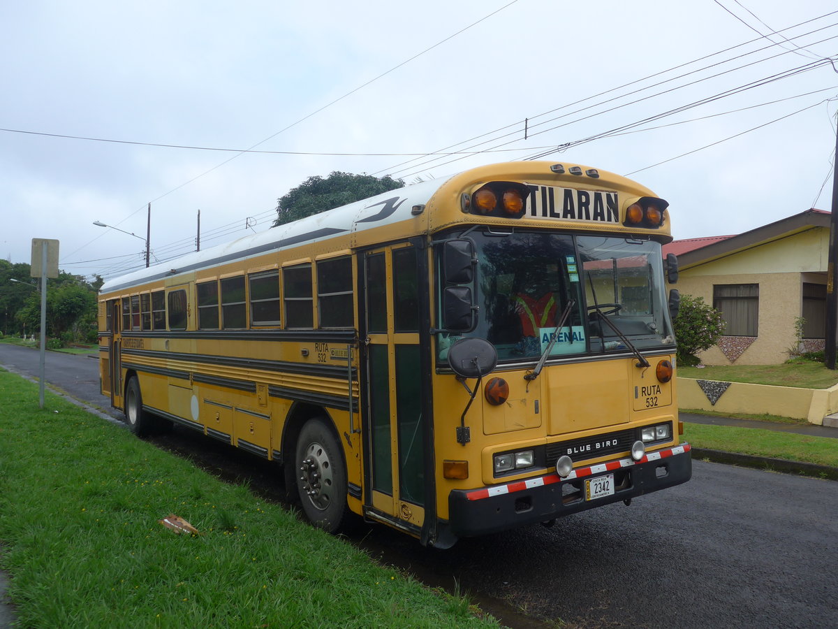 (211'316) - Transportes Tilarn, Tilarn - 2342 - Bluebird am 15. November 2019 in Nuevo Arenal