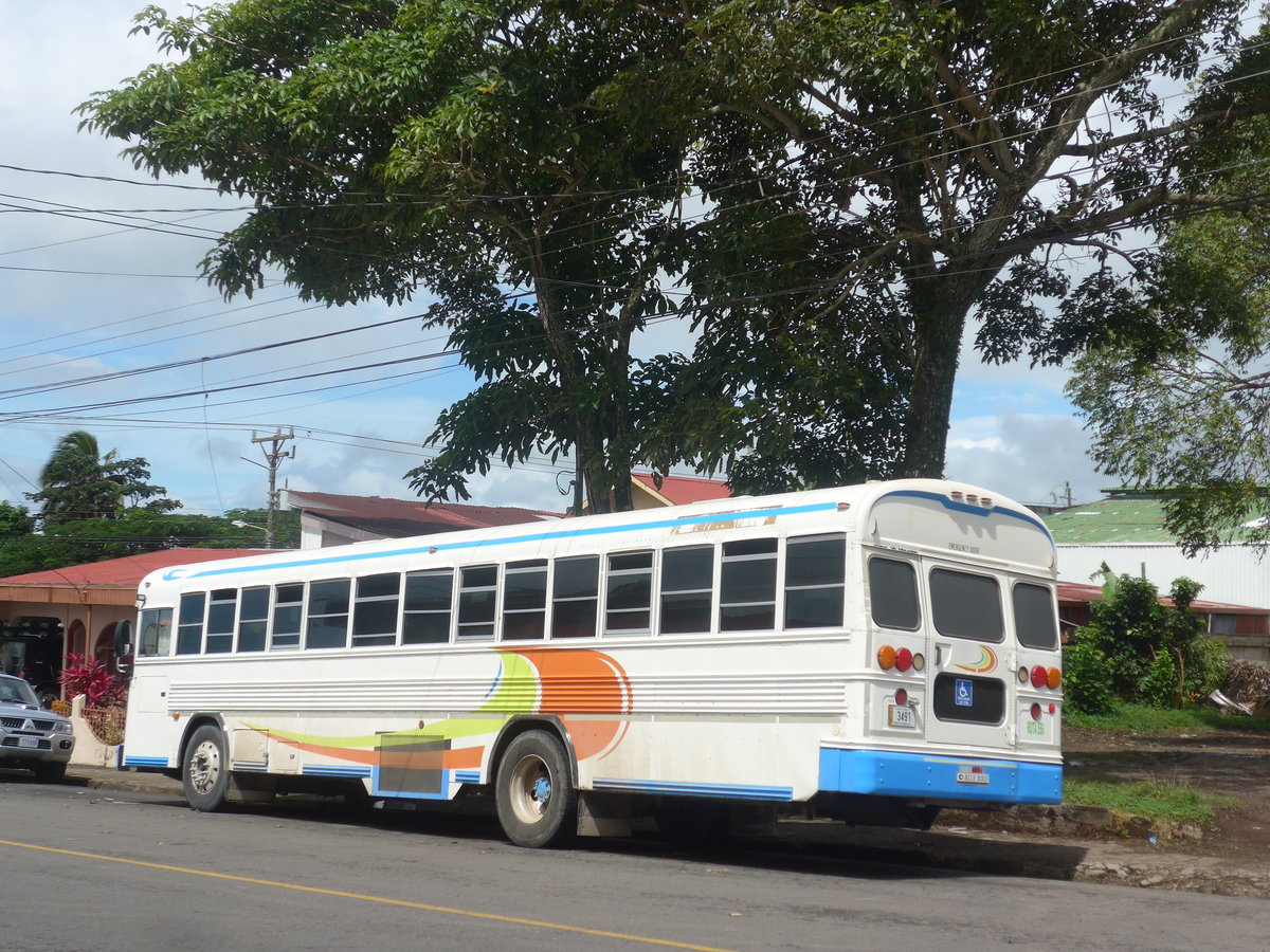 (211'330) - Transportes Tilarn, Tilarn - 3491 - Bluebird am 15. November 2019 in Tilarn