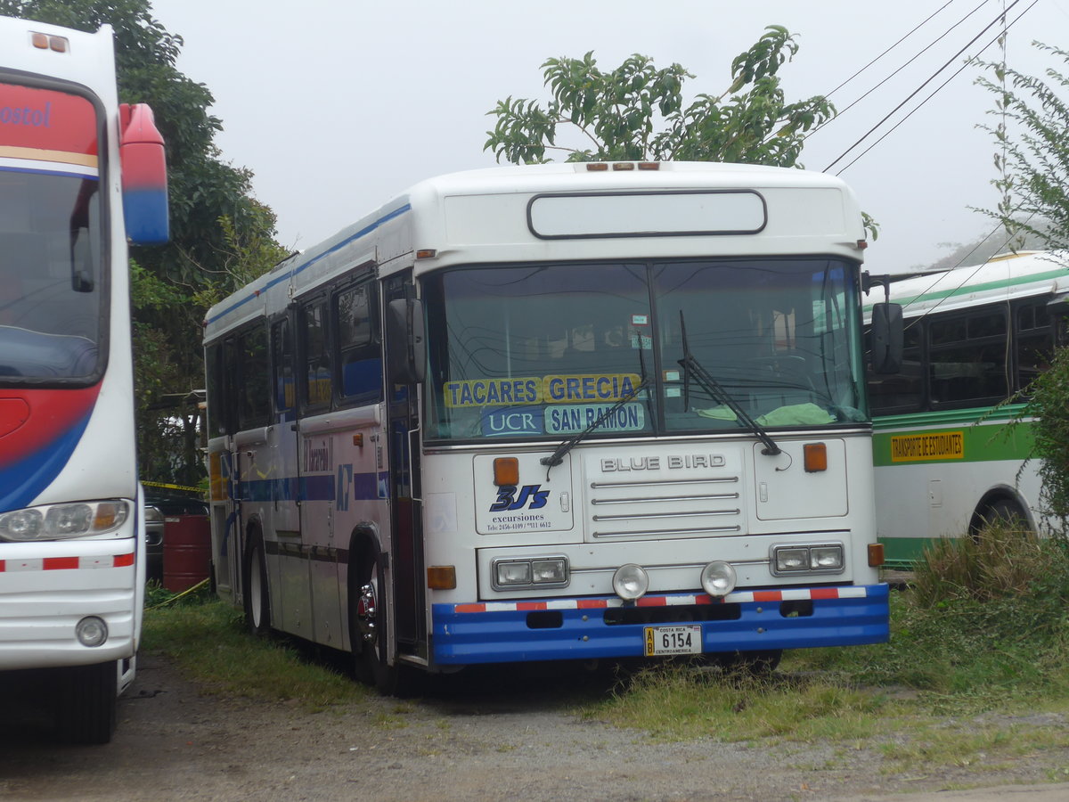 (211'664) - 3 J's excursiones - 6154 - Bluebird am 19. November 2019 in San Juan, Freigelnde