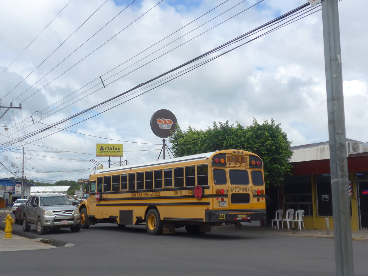 (211'875) - ??? - Nr. 223/3631 - Bluebird am 21. November 2019 in La Cruz