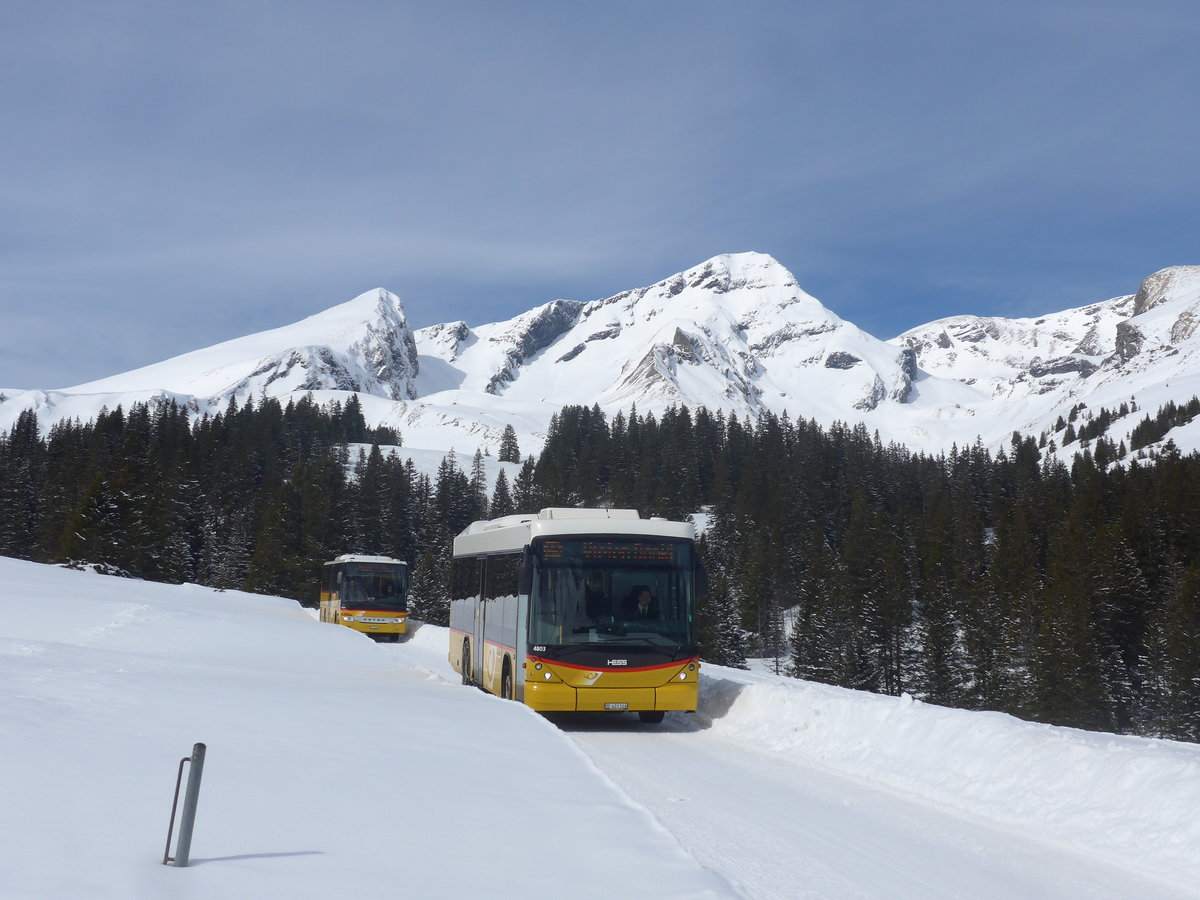 (215'076) - PostAuto Bern - BE 403'166 - Scania/Hess (ex AVG Meiringen Nr. 66; ex Steiner, Messen) am 8. Mrz 2020 in Grindelwald, Alpiglen