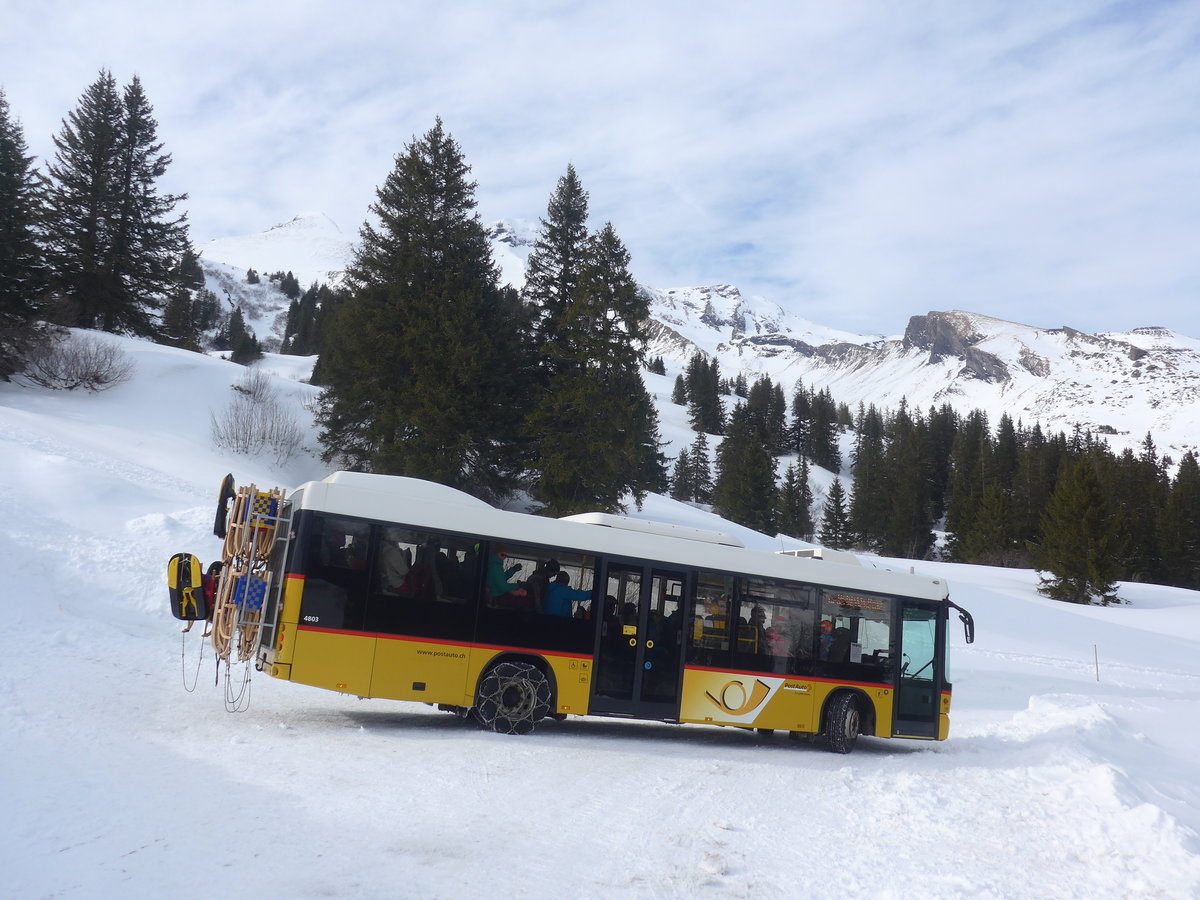 (215'088) - PostAuto Bern - BE 403'166 - Scania/Hess (ex AVG Meiringen Nr. 66; ex Steiner, Messen) am 8. Mrz 2020 in Grindelwald, Schrmstutz