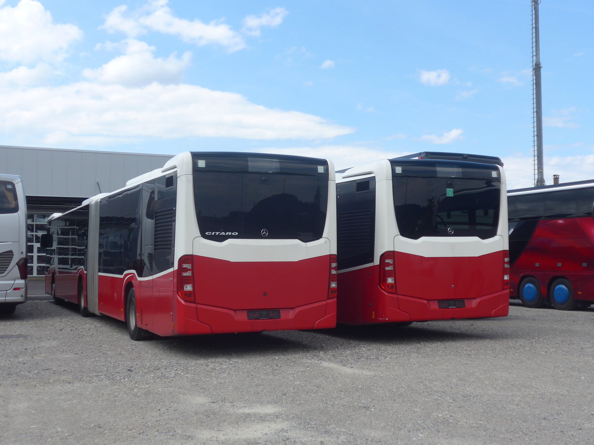 (218'254) - BLT Oberwil - Nr. 98 - Mercedes (ex Gschwindl, A-Wien Nr. 8410) am 28. Juni 2020 in Winterthur, EvoBus