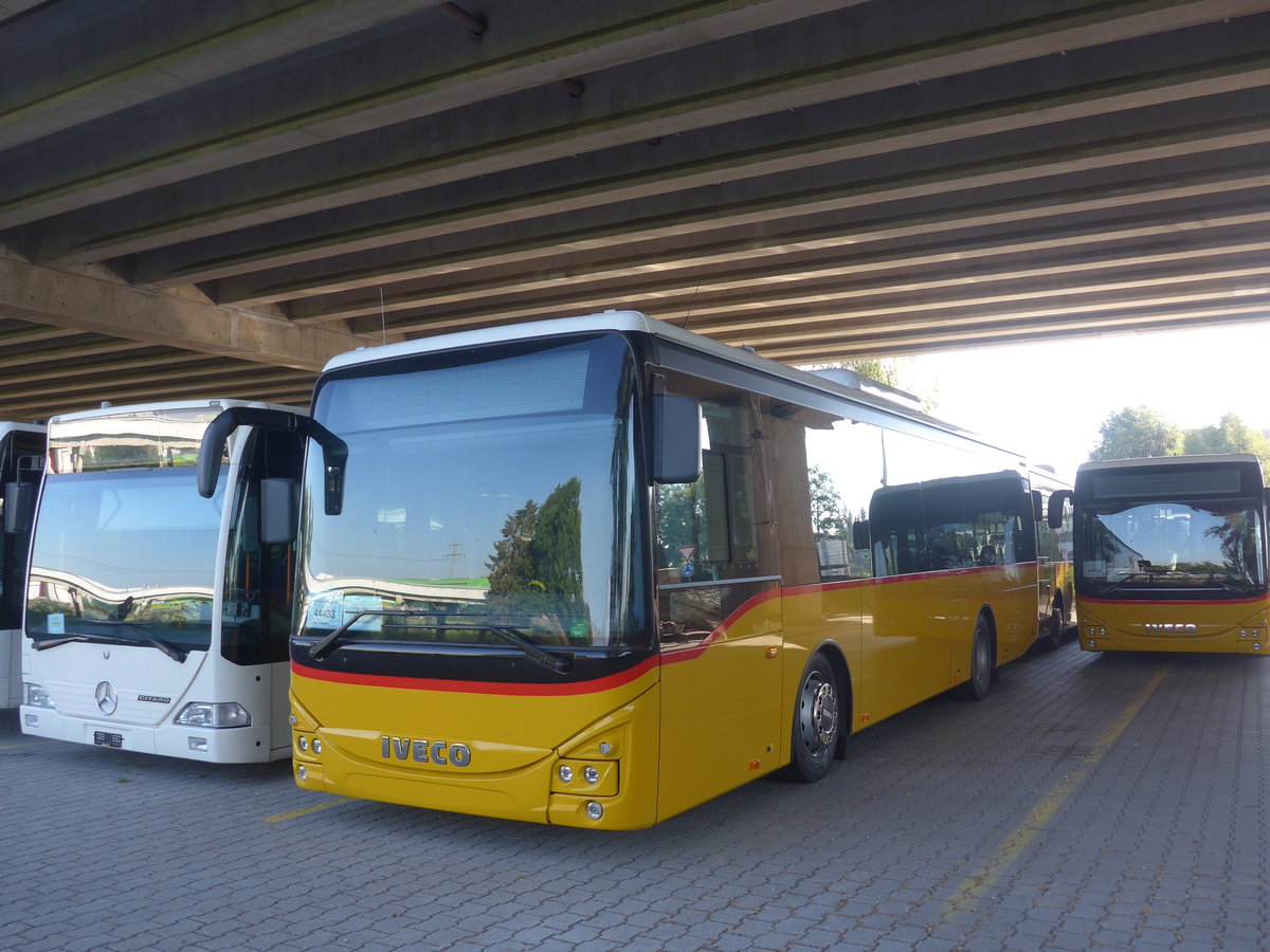 (219'529) - AutoPostale Ticino - PID 11'442 - Iveco am 9. August 2020 in Kerzers, Murtenstrasse