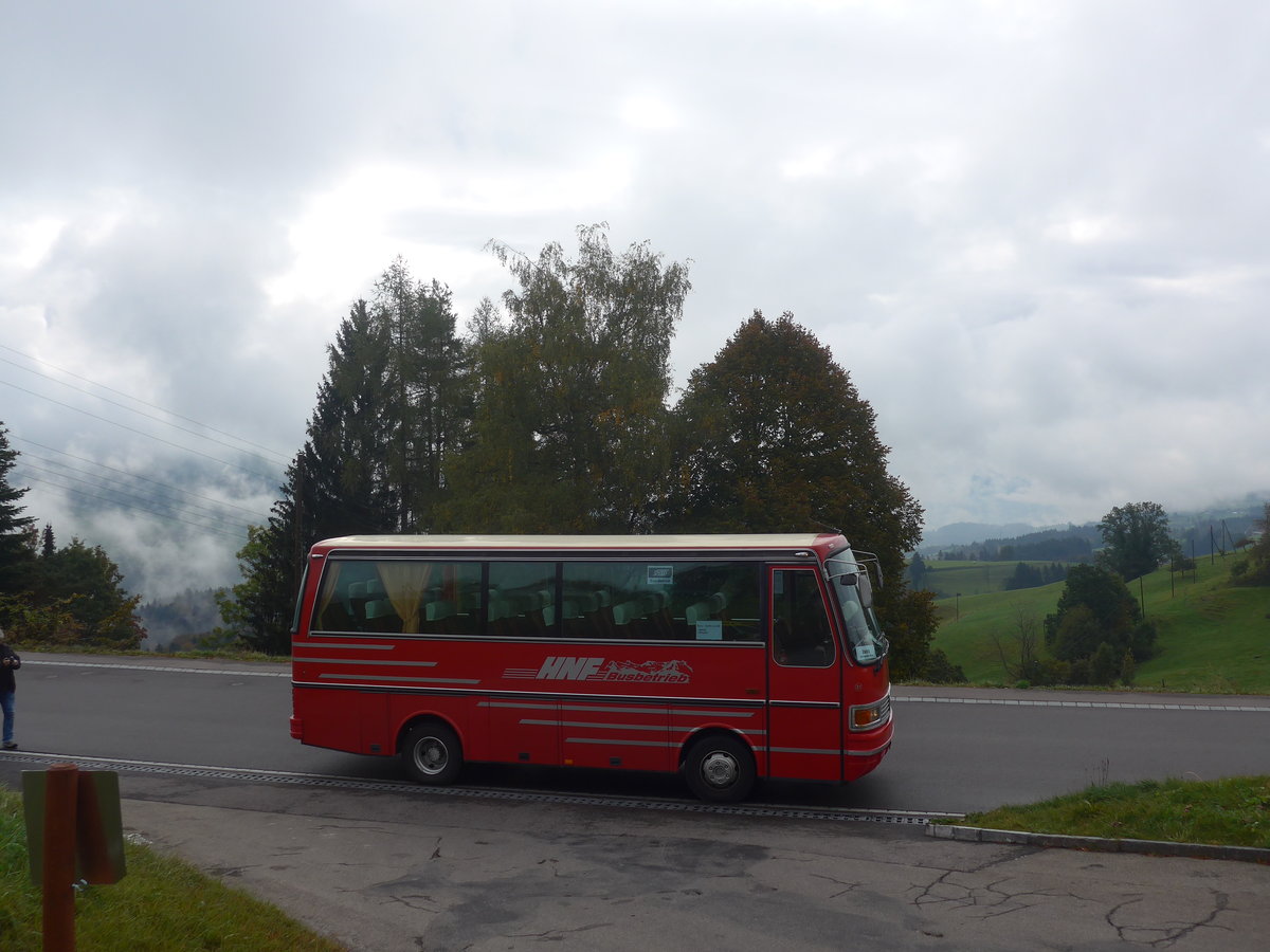 (221'813) - Biegger, Uster - Nr. 31/GL 1946 - Setra (ex AFA Adelboden Nr. 31; ex AFA Adelboden Nr. 10; ex Frhlich, Zrich) am 12. Oktober 2020 in Ghch, Rest. Berg