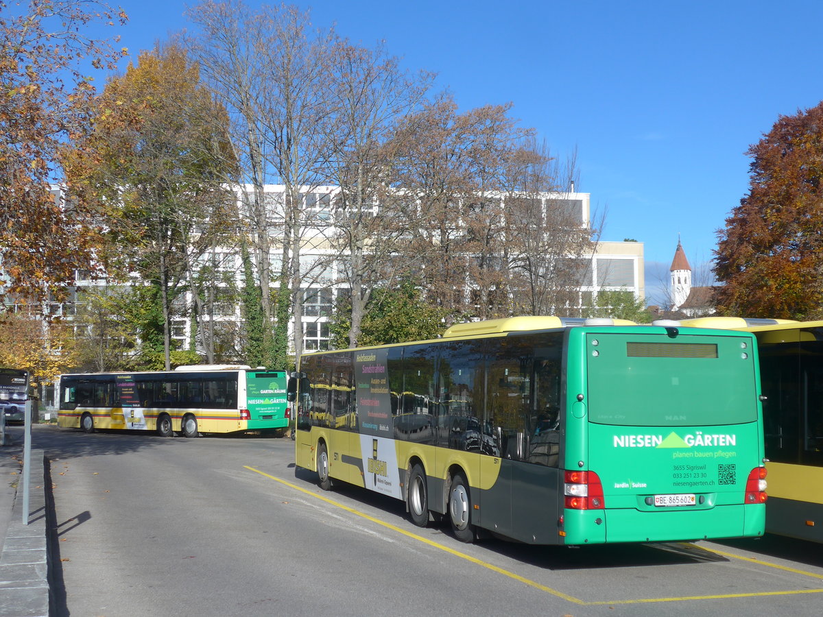 (222'848) - STI Thun - Nr. 602/BE 865'602 - MAN am 2. November 2020 bei der Schifflndte Thun