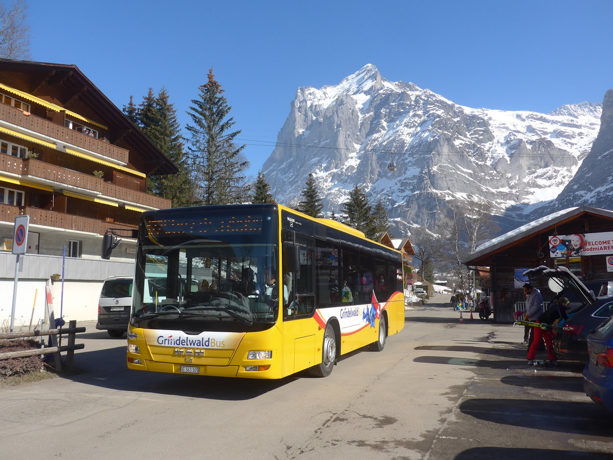 (223'867) - Grindelwaldbus, Grindelwald - Nr. 19/BE 363'305 - MAN/Gppel am 28. Februar 2021 in Grindelwald, Terrassenweg