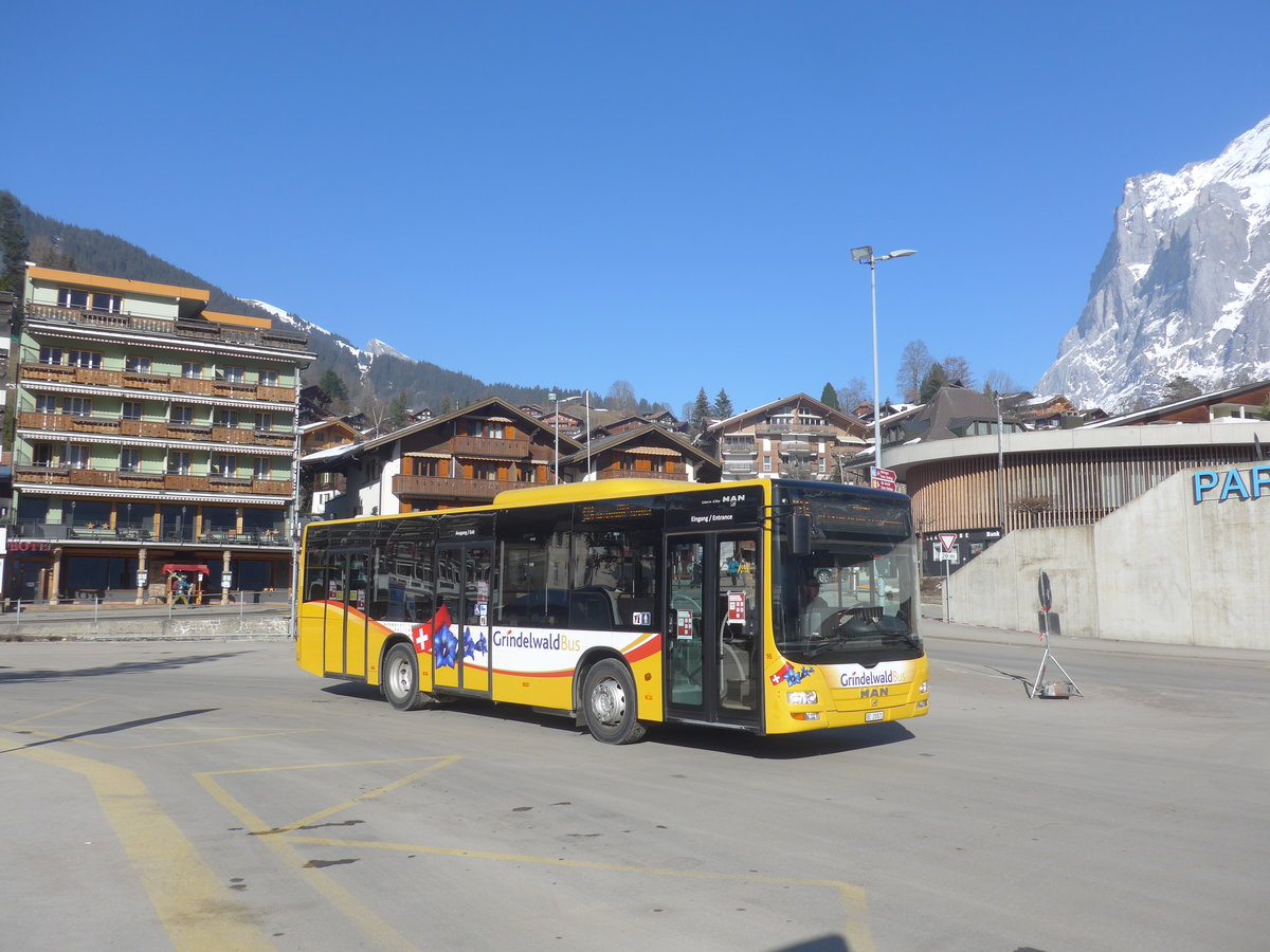 (223'890) - Grindelwaldbus, Grindelwald - Nr. 16/BE 28'821 - MAN am 28. Februar 2021 beim Bahnhof Grindelwald