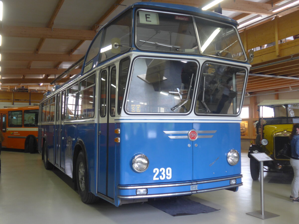 (225'783) - VBZ Zrich (FBW-Club) - Nr. 239 - FBW/Tscher Hochlenker (ex Kamm, Schlieren; ex VBZ Zrich Nr. 239; ex VBZ Zrich Nr. 219) am 6. Juni 2021 in Wetzikon, FBW-Museum