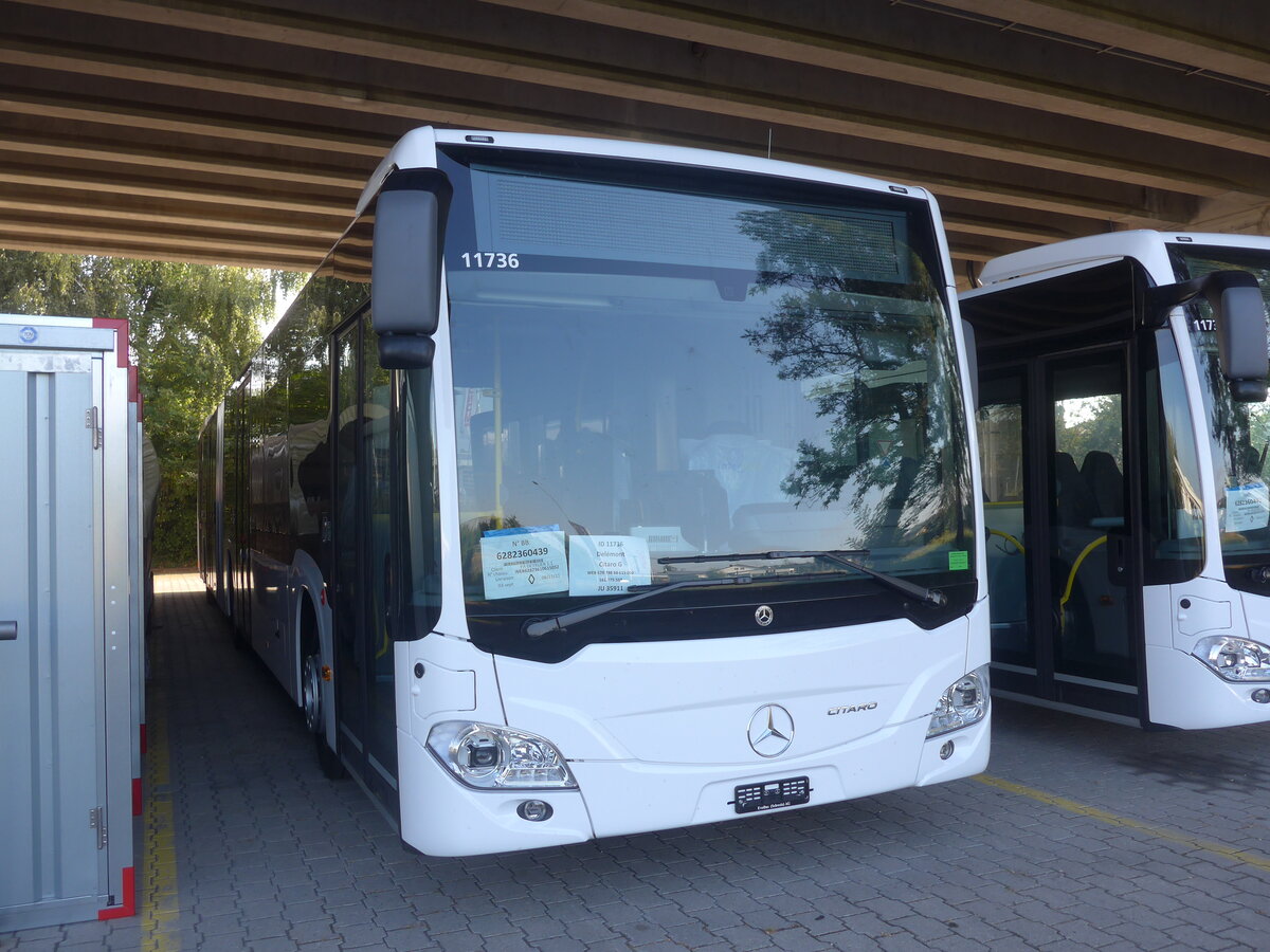 (228'044) - CarPostal Ouest - PID 11'736 - Mercedes am 18. September 2021 in Kerzers, Murtenstrasse