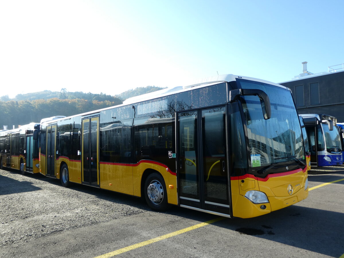 (229'722) - Steiger, Schlatt - Nr. 419 - Mercedes am 23. Oktober 2021 in Winterthur, EvoBus