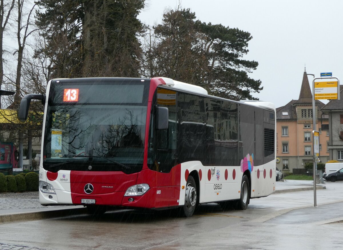 (234'220) - TPF Fribourg - Nr. 6003/FR 300'352 - Mercedes am 8. April 2022 beim Bahnhof Ddingen