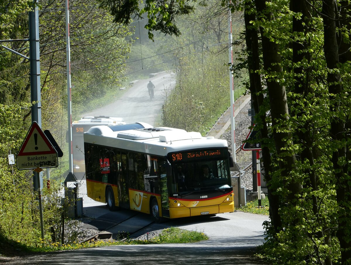 (235'009) - Stutz, Jonen - ZH 407'231 - Scania/Hess (ex PostAuto Bern; ex AVG Meiringen Nr. 67; ex AVG Meiringen Nr. 76; ex Steiner, Messen) am 2. Mai 2022 am Uetliberg