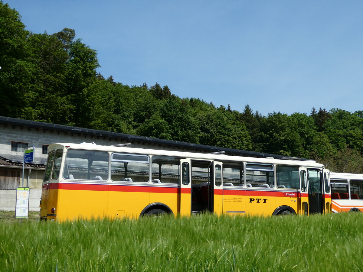 (235'677) - Gast, Reutigen - BE 113'160 - Saurer/Tscher (ex HPTrans, Thusis; ex Mauerhofer, Worb; ex Erni, Schupfart Nr. 3) am 15. Mai 2022 in Alchenstorf, Wil