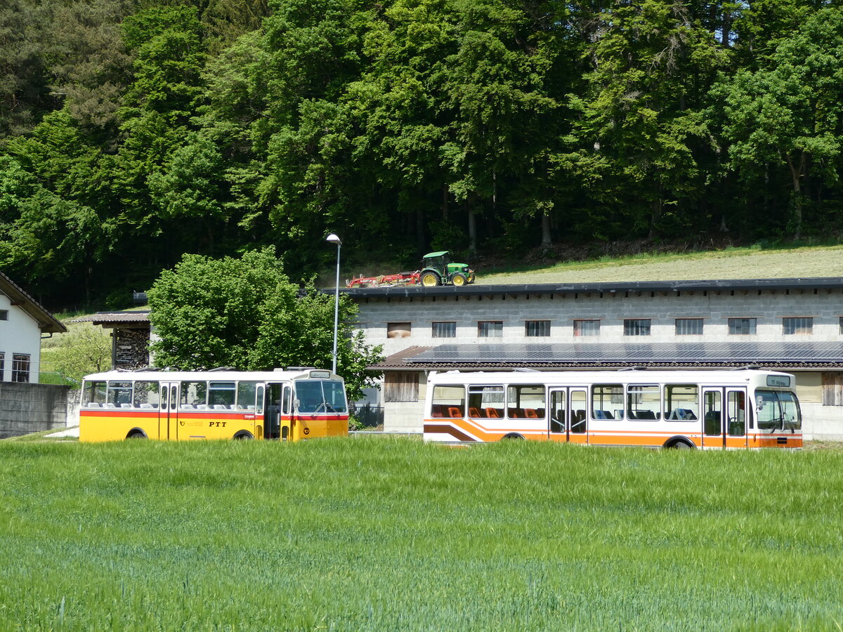 (235'683) - Gast, Reutigen - BE 113'160 - Saurer/Tscher (ex HPTrans, Thusis; ex Mauerhofer, Worb; ex Erni, Schupfart Nr. 3; ex P 24'636) + Wegmller, Mnsingen - BE 399'675 - FBW/R&J (ex Bamert, Wollerau) am 15. Mai 2022 in Alchenstorf, Wil