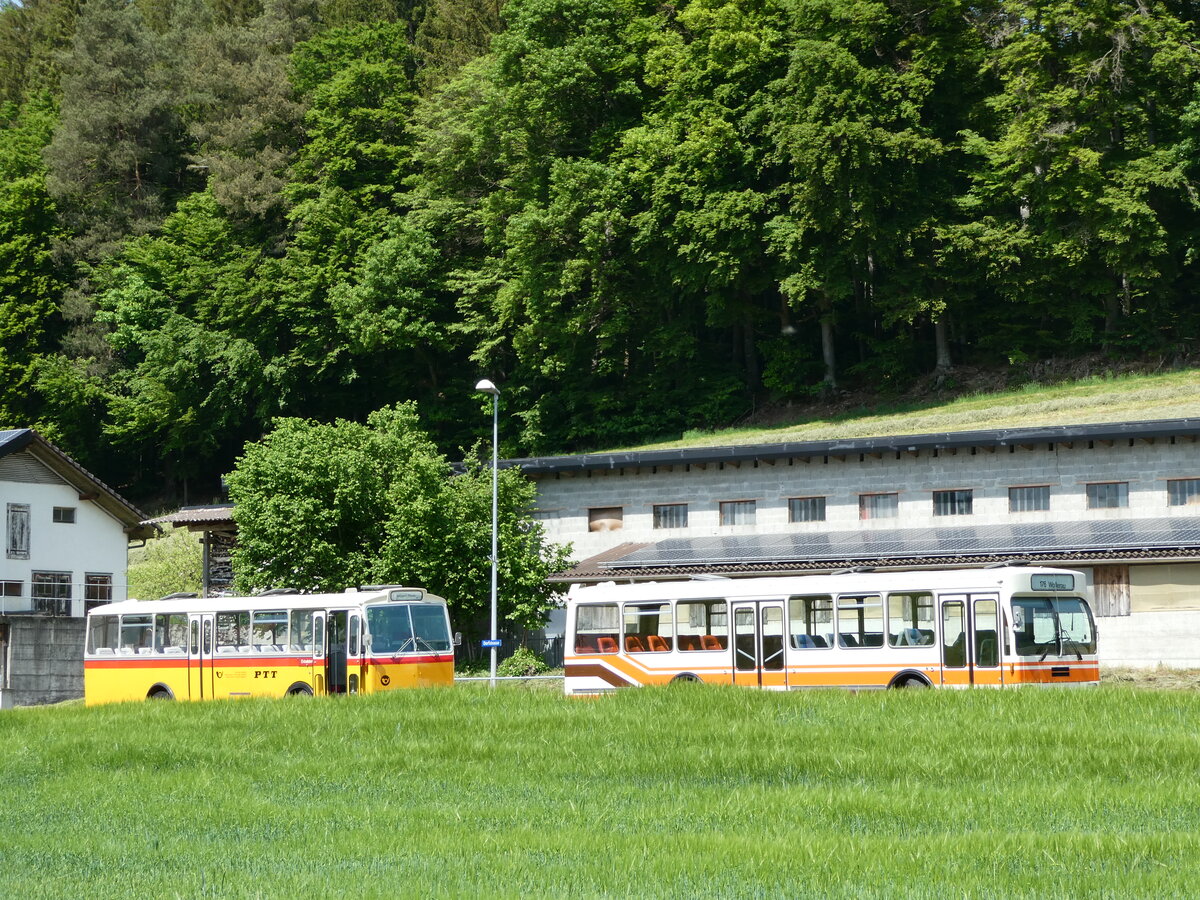 (235'685) - Gast, Reutigen - BE 113'160 - Saurer/Tscher (ex HPTrans, Thusis; ex Mauerhofer, Worb; ex Erni, Schupfart Nr. 3; ex P 24'636) + Wegmller, Mnsingen - BE 399'675 - FBW/R&J (ex Bamert, Wollerau) am 15. Mai 2022 in Alchenstorf, Wil