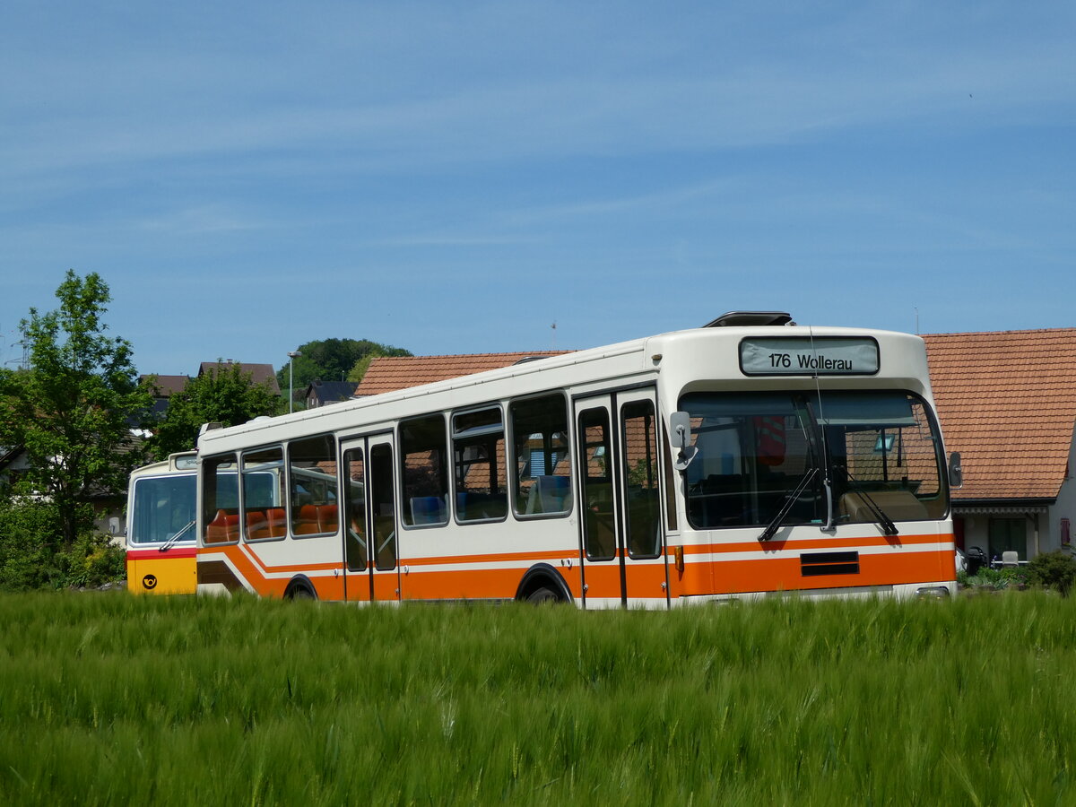 (235'693) - Wegmller, Mnsingen - BE 399'675 - FBW/R&J (ex Bamert, Wollerau) am 15. Mai 2022 in Wynigen, Landi