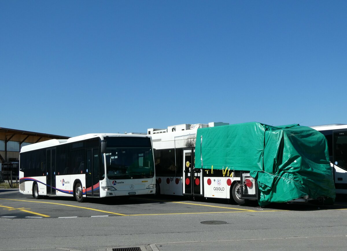 (238'754) - Steiner, Messen - SO 142'657 - Mercedes (ex Kuhn, Merenschwand; ex Kng, Beinwil) am 1. August 2022 in Kerzers, Interbus