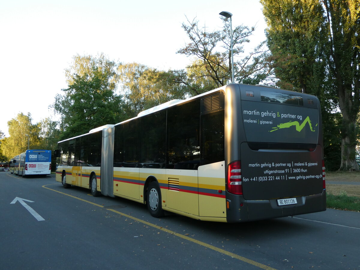 (238'988) - STI Thun - Nr. 136/BE 801'136 - Mercedes am 12. August 2022 in Thun, Lachen