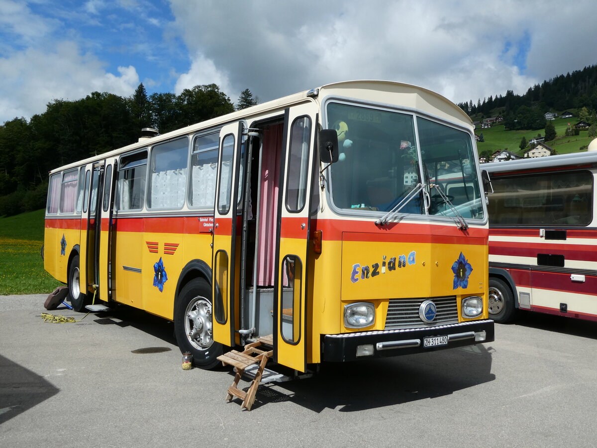 (239'151) - Ghwiler, Birmensdorf - ZH 311'480 - Saurer/Tscher (ex AVG Grindelwald Nr. 12; ex Steiger, Schlatt) am 20. August 2022 in Wildhaus, Munzenriet