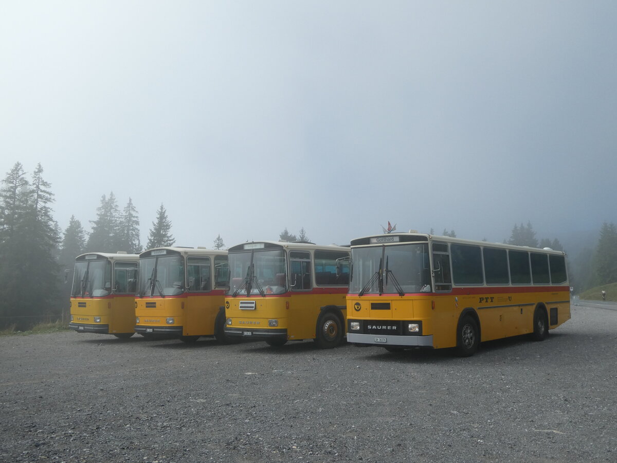 (239'777) - Roth, Zürich - SH 36'376 - Saurer/Tüscher (ex Looser, Elm; ex Mattli, Wassen) am 28. August 2022 in Stalden, Langis