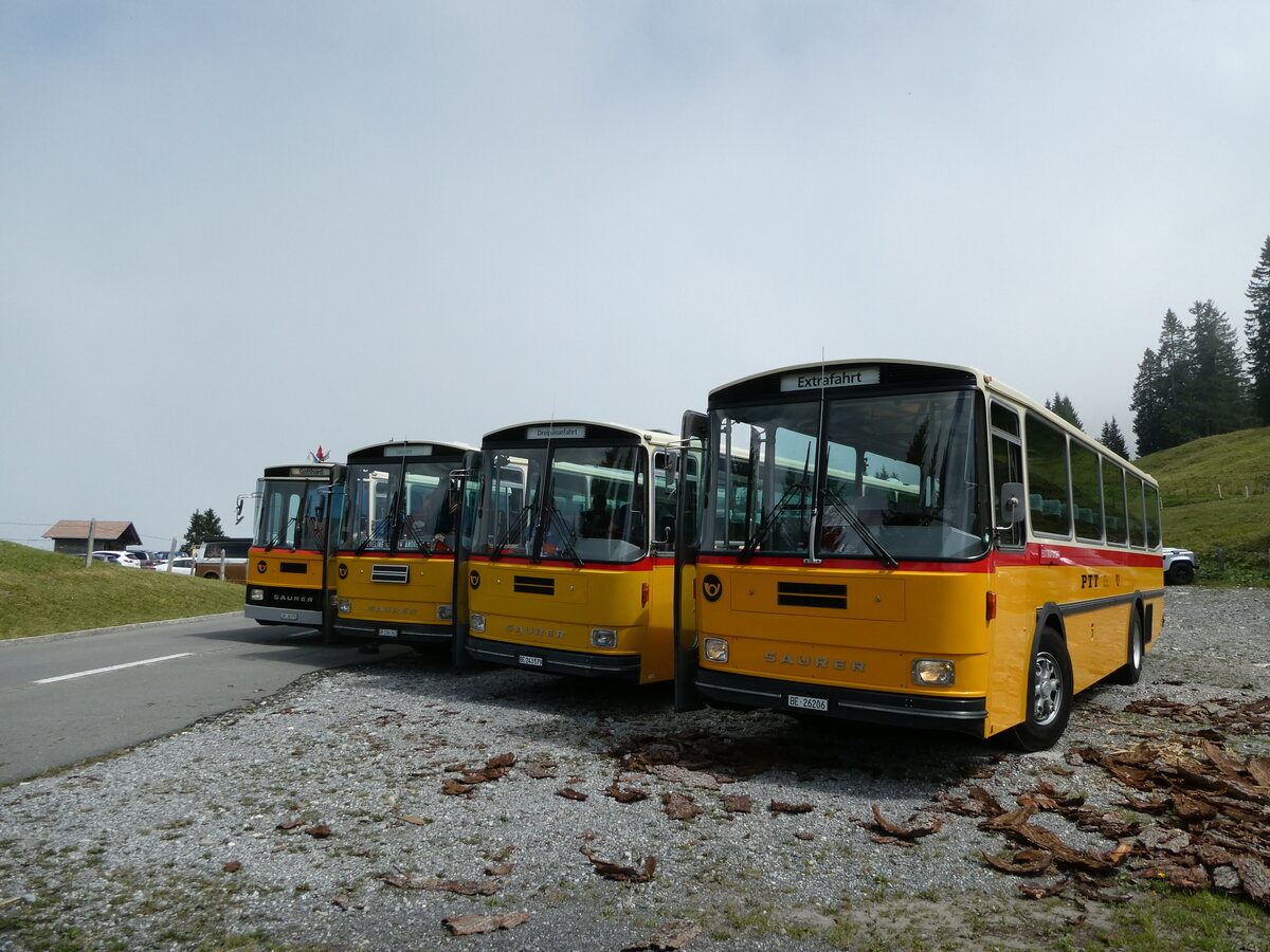 (239'825) - Schmid, Thrishaus - BE 26'206 - Saurer/Tscher (ex P 24'244) am 28. August 2022 in Giswil, Glaubenbielen