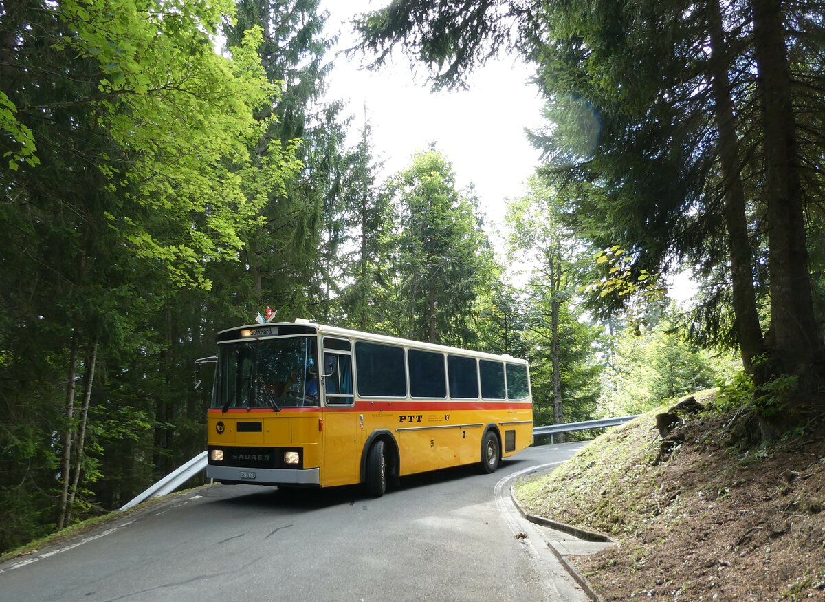 (239'846) - Roth, Zrich - SH 36'376 - Saurer/Tscher (ex Looser, Elm; ex Mattli, Wassen) am 28. August 2022 in Giswil, Emmenwald