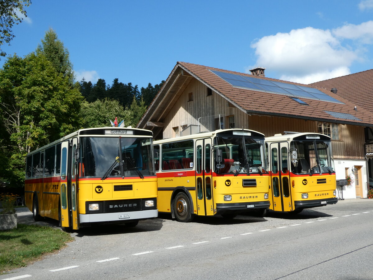 (239'877) - Roth, Zrich - SH 36'376 - Saurer/Tscher (ex Looser, Elm; ex Mattli, Wassen) am 28. August 2022 in Schwarzenegg, Restaurant Kreuz