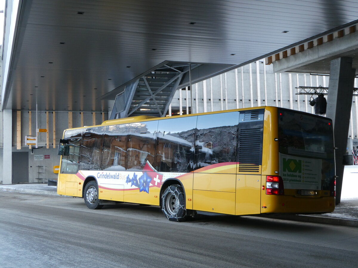 (244'010) - Grindelwaldbus, Grindelwald - Nr. 23/BE 70'397 - MAN am 18. Dezember 2022 in Grindelwald, Terminal