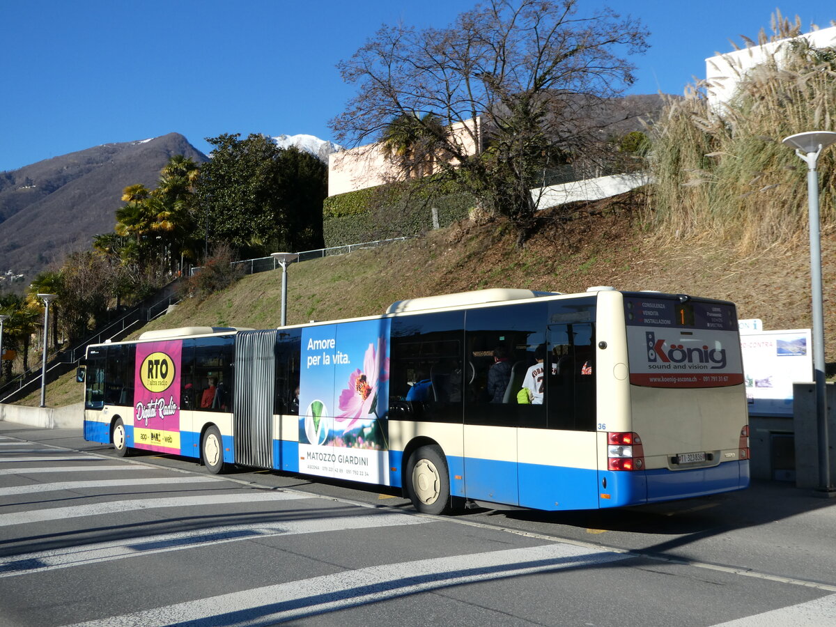 (244'915) - FART Locarno - Nr. 36/TI 323'836 - MAN am 10. Januar 2023 beim Bahnhof Tenero