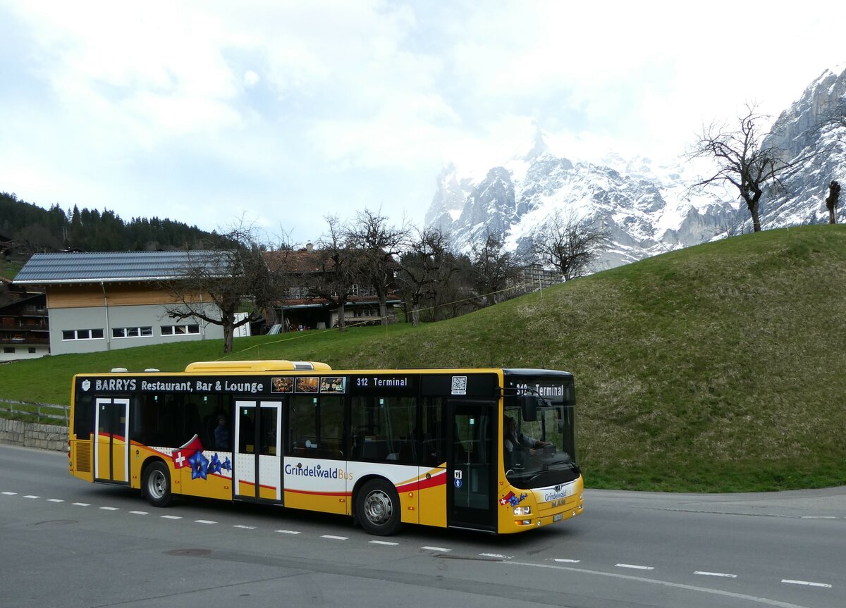 (248'833) - Grindelwaldbus, Grindelwald - Nr. 12/BE 356'085 - MAN am 18. April 2023 in Grindelwald, Garage