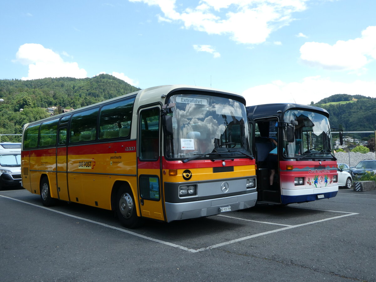 (252'377) - Buzzi, Bern - BE 910'789 - Mercedes (ex Mattli, Wassen PID 2295) am 6. Juli 2023 in Thun, Seestrasse