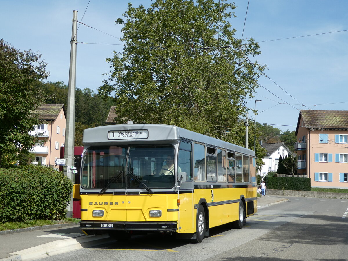 (255'287) - Wanner, Schleitheim - SH 48'096 - Saurer/Hess (ex Ruklic, Schaffhausen; ex VBSH Schaffhausen Nr. 40; ex VBSH Schaffhausen Nr. 19) am 17. September 2023 in Neuhausen, Herbstcker