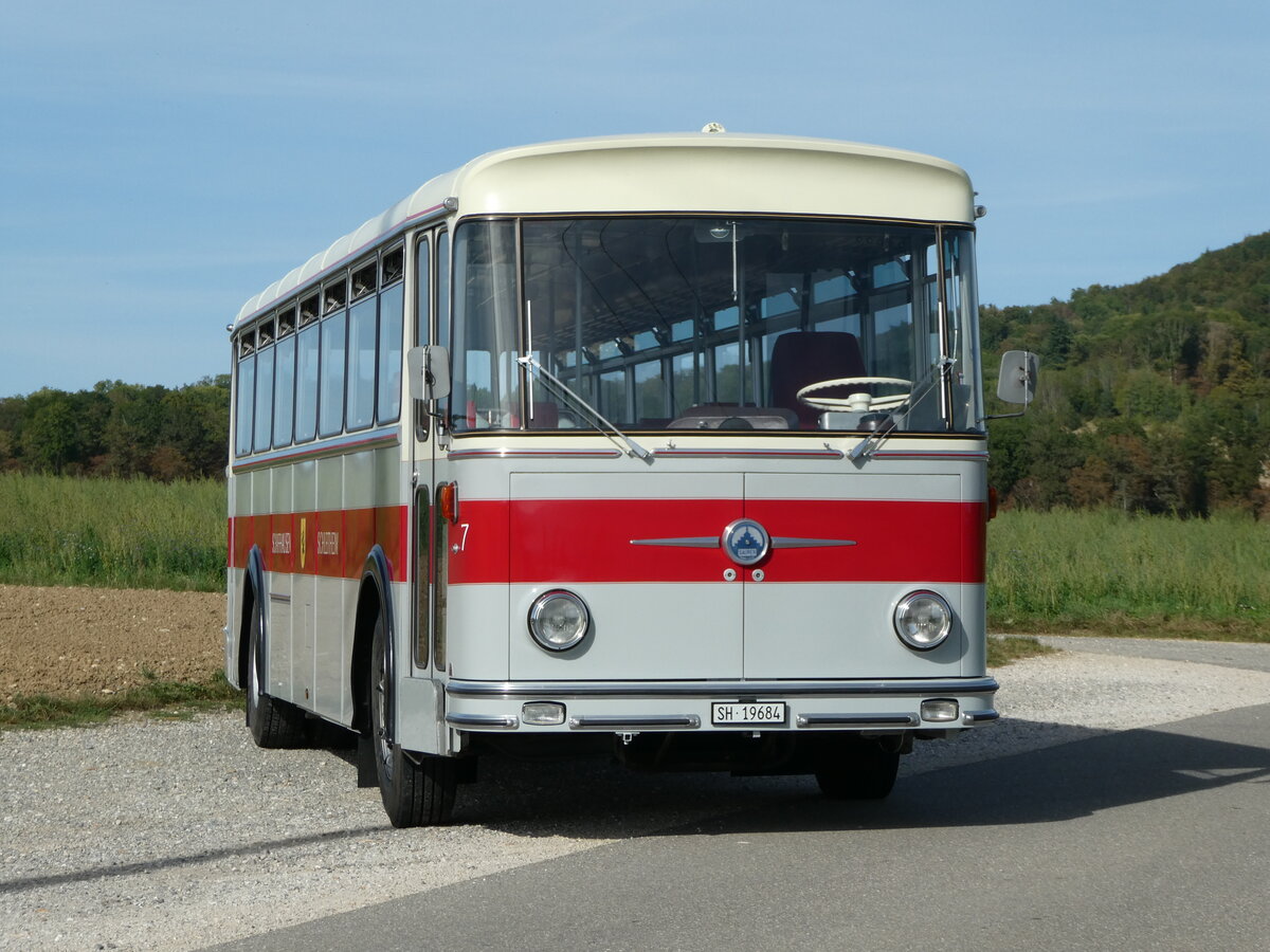 (255'391) - Borer, Neuhausen - Nr. 7/SH 19'684 - Saurer/Tscher (ex Heiniger, Btzberg; ex ASS Schleitheim Nr. 22; ex ASS Schleitheim Nr. 7) am 17. September 2023 in Siblingen, Siblinger Hhe